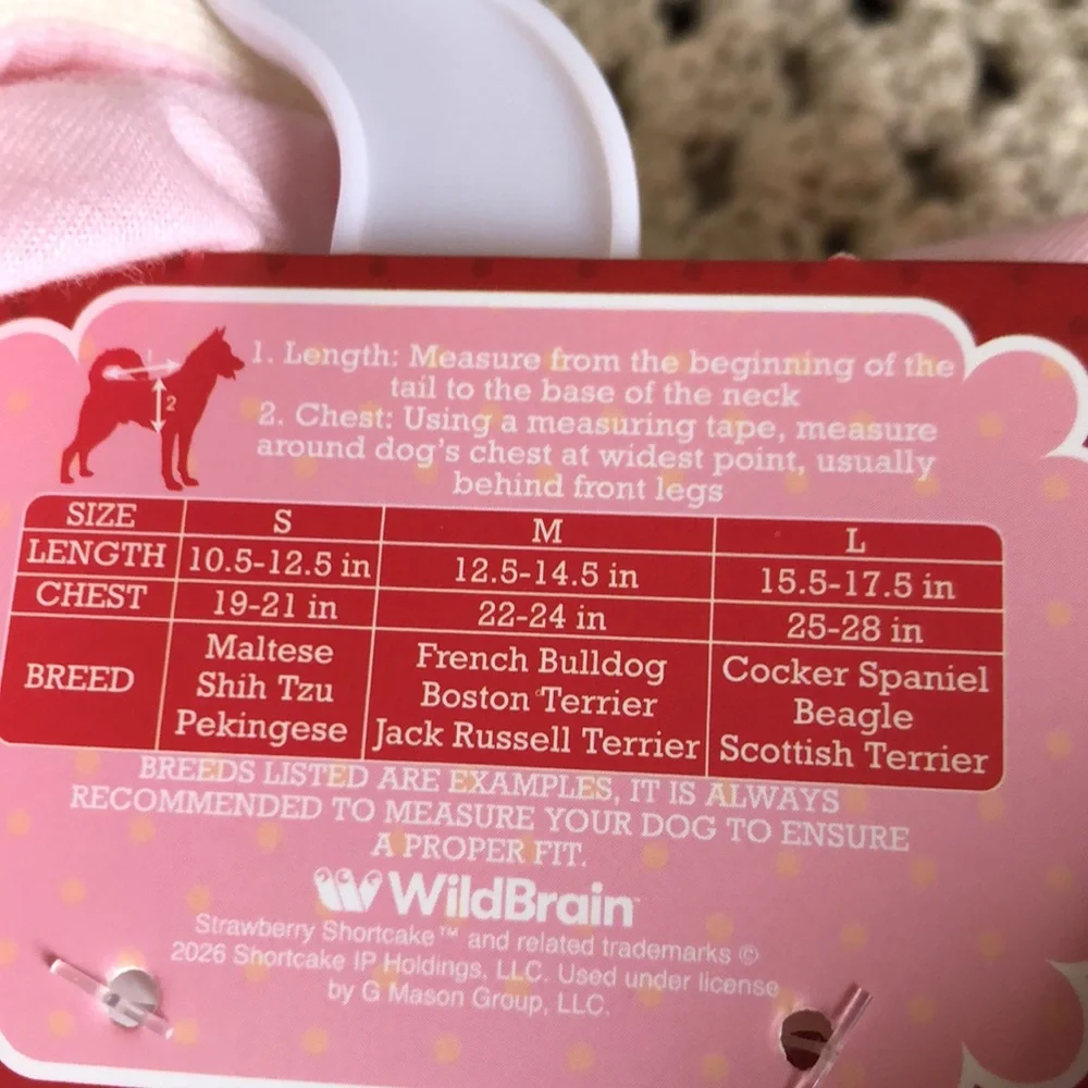 Strawberry Shortcake PET Hoodie SIZE L